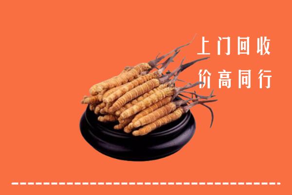 高价求购：济南回收散虫草
