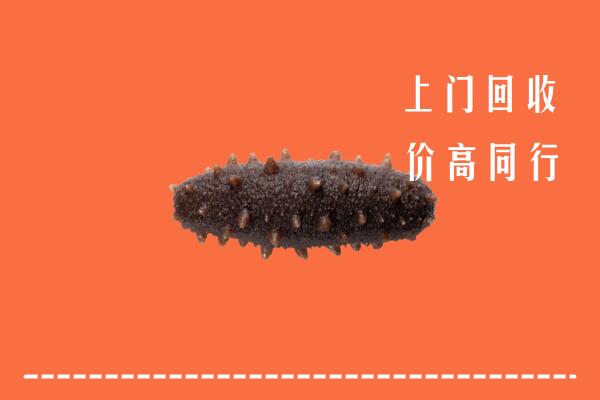 高价求购：济南回收海参