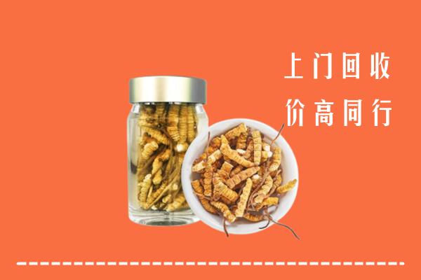 济南回收冬虫夏草