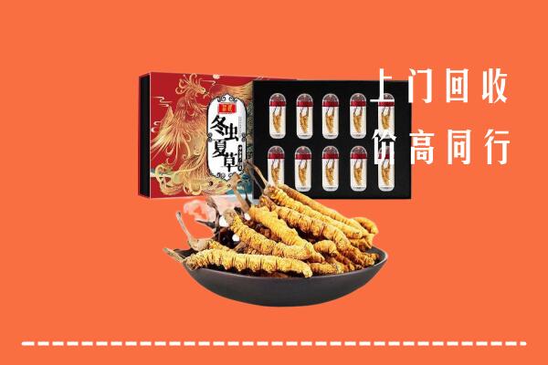济南回收虫草